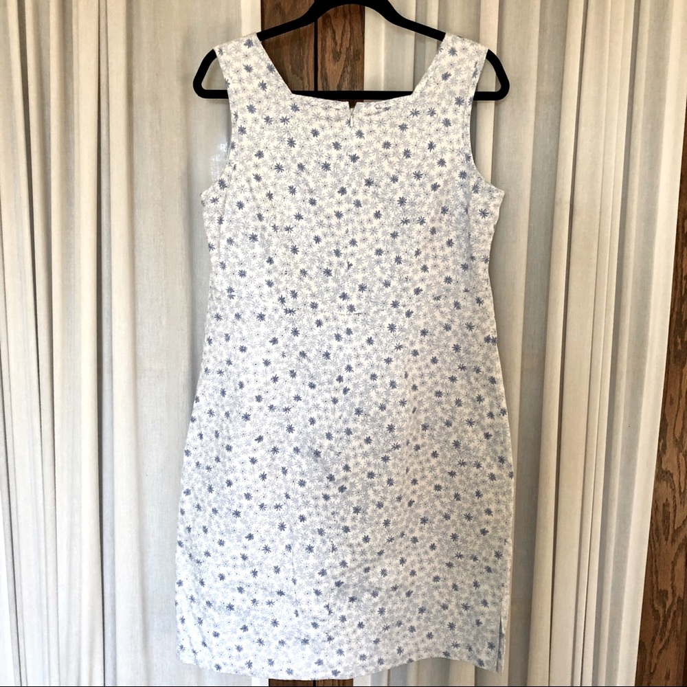 Telluride Clothing Co. Sleeveless Shift Dress